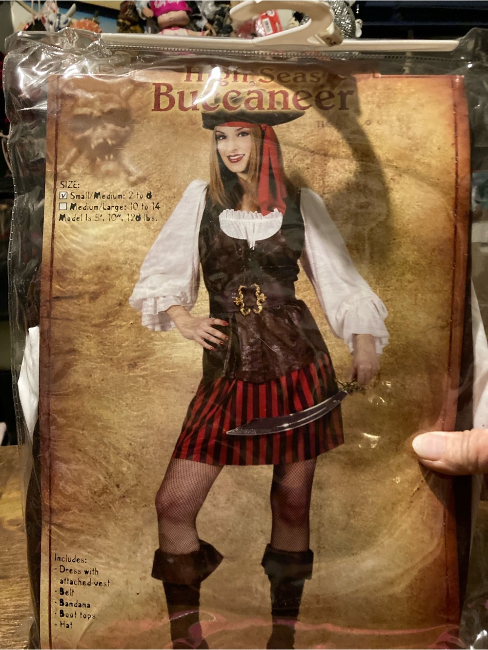 Vintage Fun World High Seas Buccaneer ladies costume